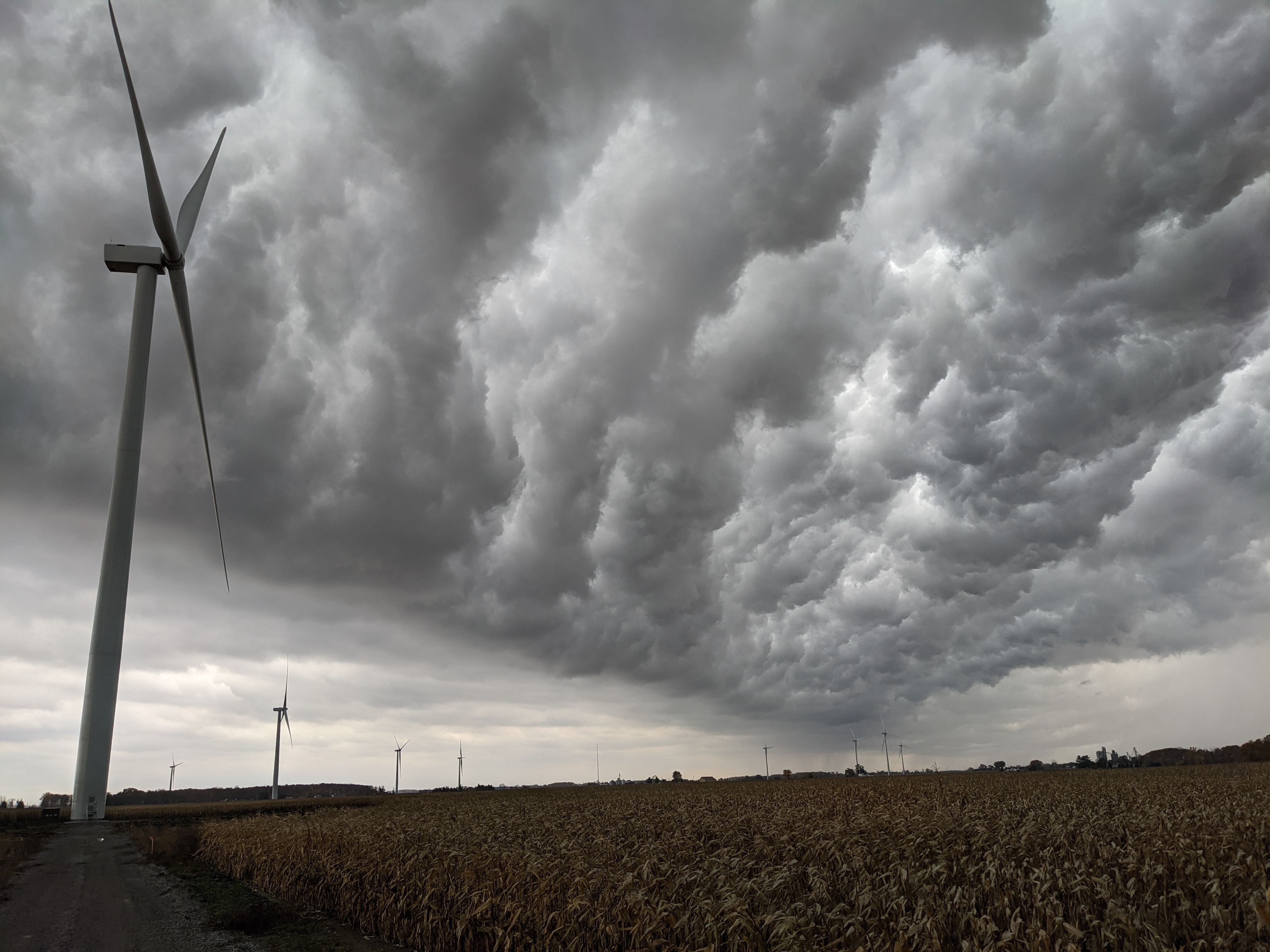 PXL_20201023_174236965