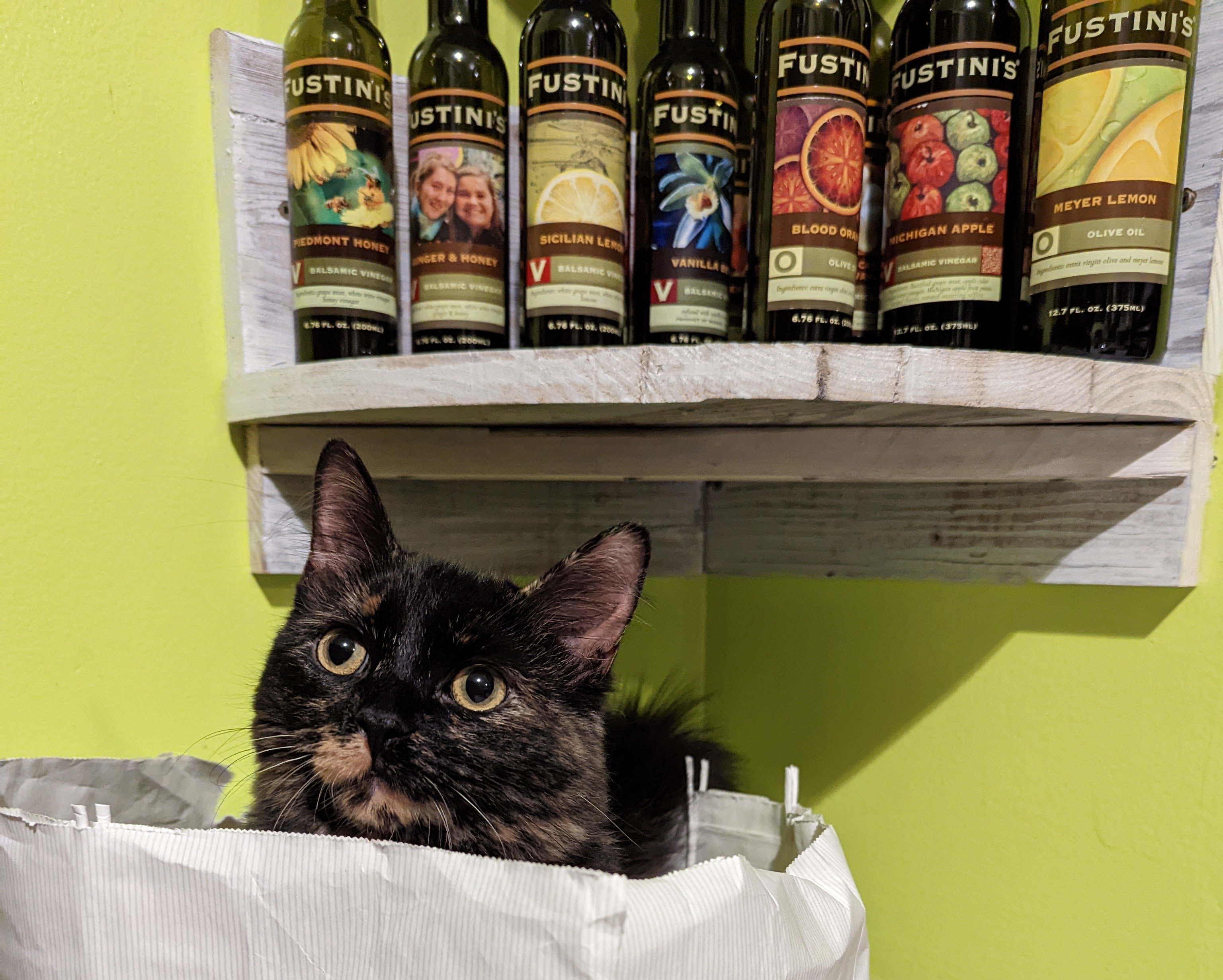 PXL_20220427_011621319